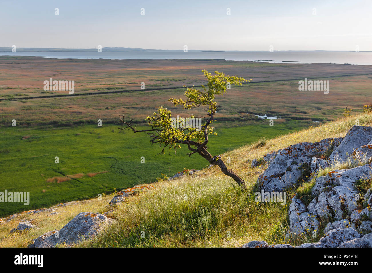 Schönen Sommer Landschaft in Dobrogea Region, in der Nähe der Donau Delta. Stockfoto