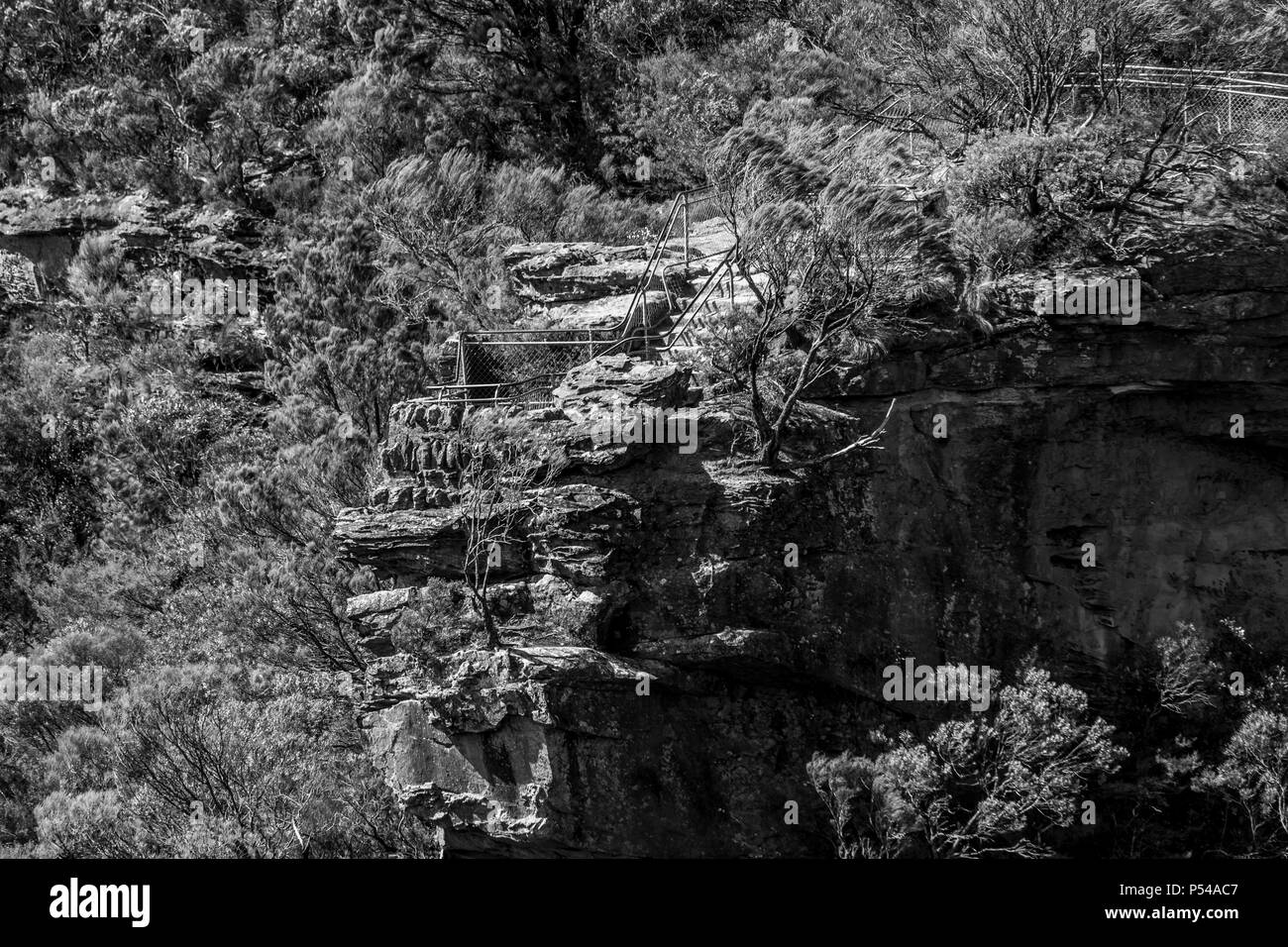 Aussichtspunkt Schwarz und Weiß, Wentworth Falls, Blue Mountains, NSW, Australien Stockfoto