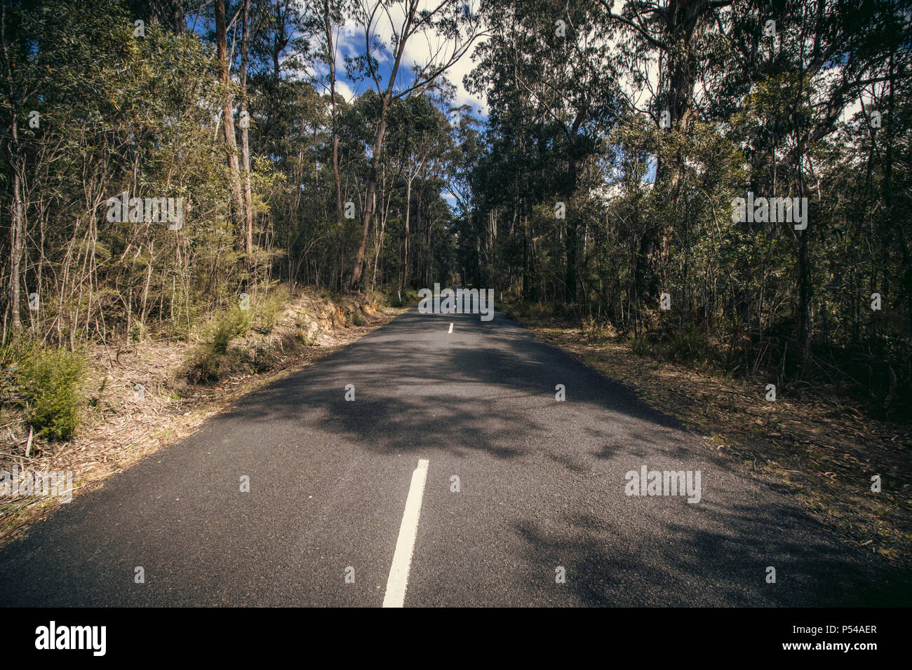 Lange Gerade Vanishing Point Road in Megalong Valley, NSW, Australien Stockfoto