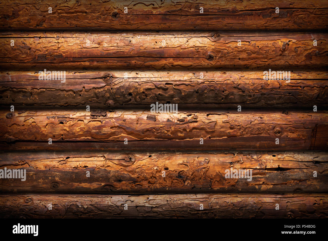 Holz Wand Zaun close-up. Stockfoto