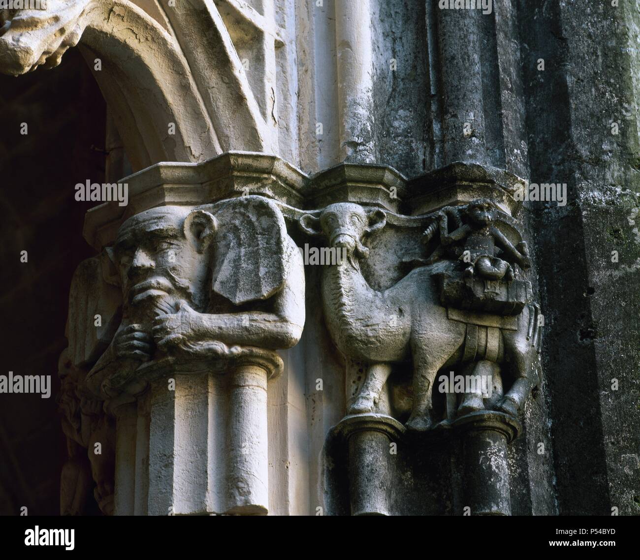 ARTE GOTICO - CISTERCIENSE. ESPAÑA. MONASTERIO DE Santes Creus. Las mejores de un CAPITEL DEL CLAUSTRO donde se Vertreter eines Un-SIMIO montado sobre un CAMELLO. Santes Creus. Estado de Tarragona. Comarca del Alt Camp. Cataluña. Stockfoto