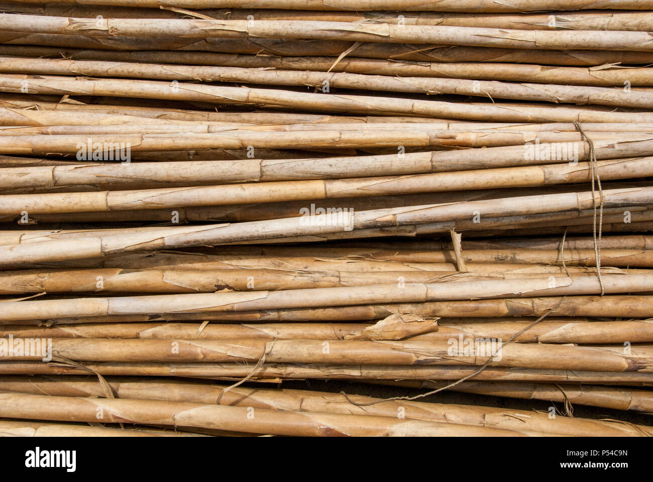 Bambus Holz Baumaterial - Trujillo Peru Stockfotografie - Alamy