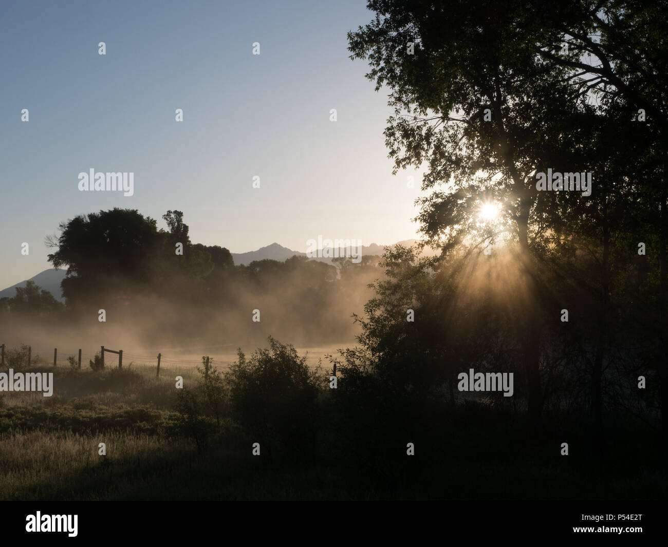 Ländliche Szene mit Bäumen, Zaun und Feld durch den Nebel und in die aufgehende Sonne. In den Bergen, Hügeln und klaren blauen Himmel im Hintergrund gesehen. Stockfoto