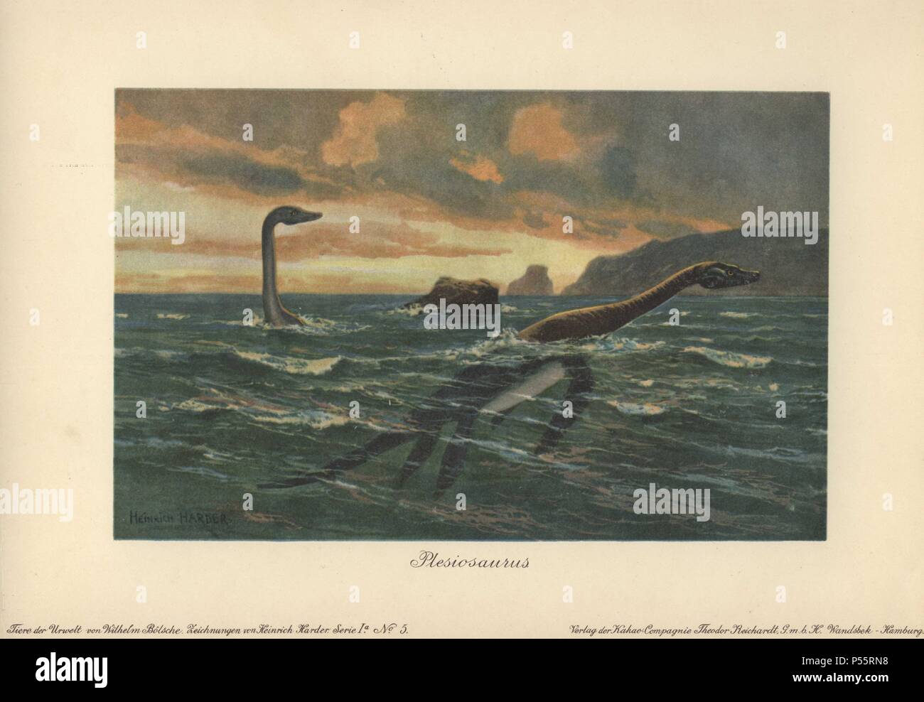 (Griechisch: Plesiosaurus plesios, "in der Nähe" und sauros "ECHSE") war eine große marine sauropterygian Reptil, die während der frühen Kreidezeit lebte.. . Farbe gedruckt Abbildung von Heinrich Härter von "Tiere der Urwelt" Tiere der prähistorischen Welt, 1916, Hamburg. Heinrich Harder (1858-1935) war ein deutscher Landschaftsmaler und Buchillustratorin. Aus einer Reihe von prähistorischen Kreaturen, die sich durch die reichardt Kakao Gesellschaft veröffentlicht. Natürliche Historiker Wilhelm Bolsche schrieb den beschreibenden Text. Stockfoto