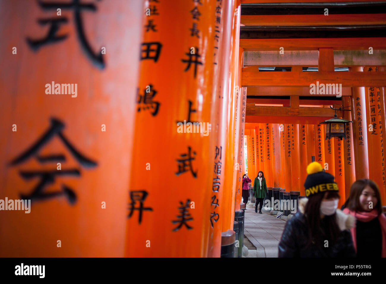 Torii-Tore im Fushimi Inari-Taisha Sanctuary, Kyoto, Japan Stockfoto