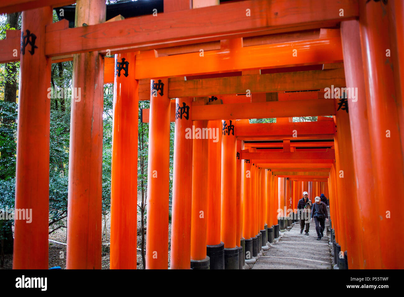 Torii-Tore im Fushimi Inari-Taisha Sanctuary, Kyoto, Japan Stockfoto