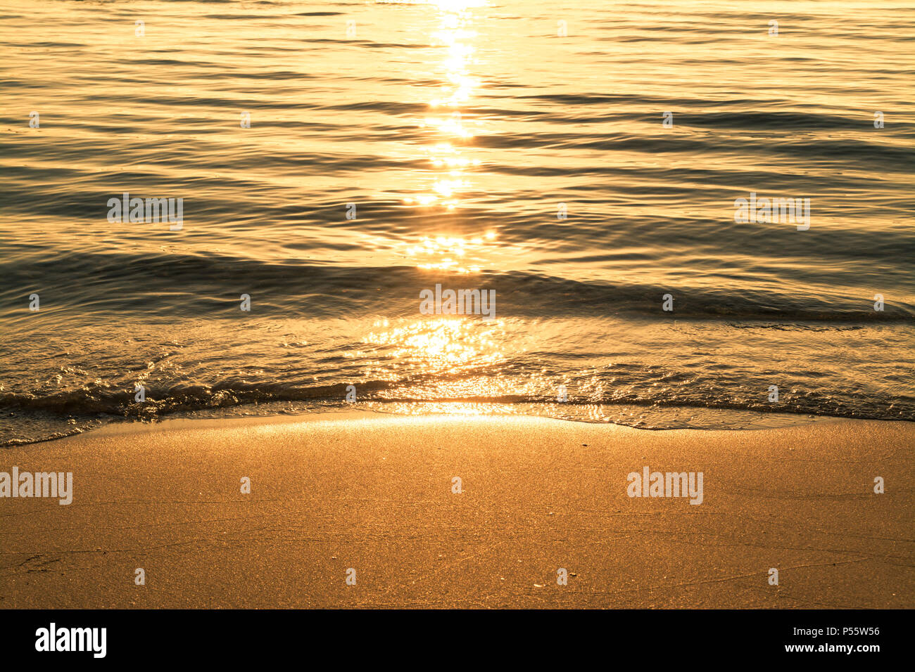 Golden Wasser am Strand im Sommer bei Sonnenaufgang Stockfoto