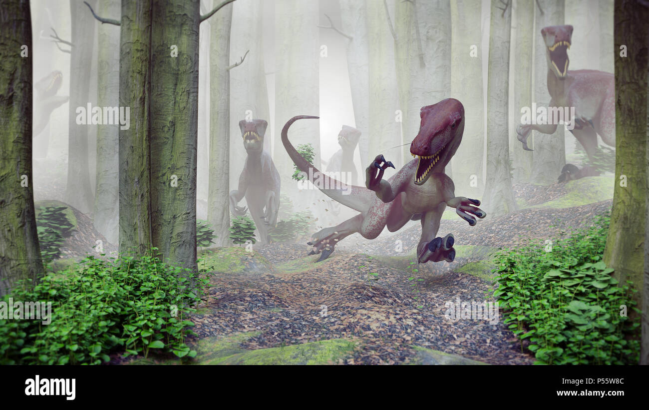 Velociraptor Pack in einem Wald, Jagd theropode Saurier Gruppe im Querformat Stockfoto