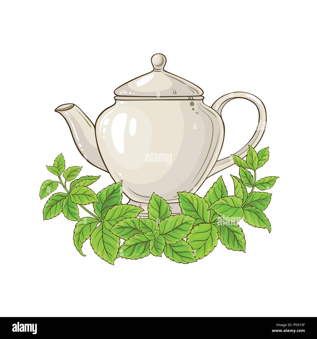 Melisse Tee Teekanne Abbildung auf weißem Hintergrund Stock Vektor