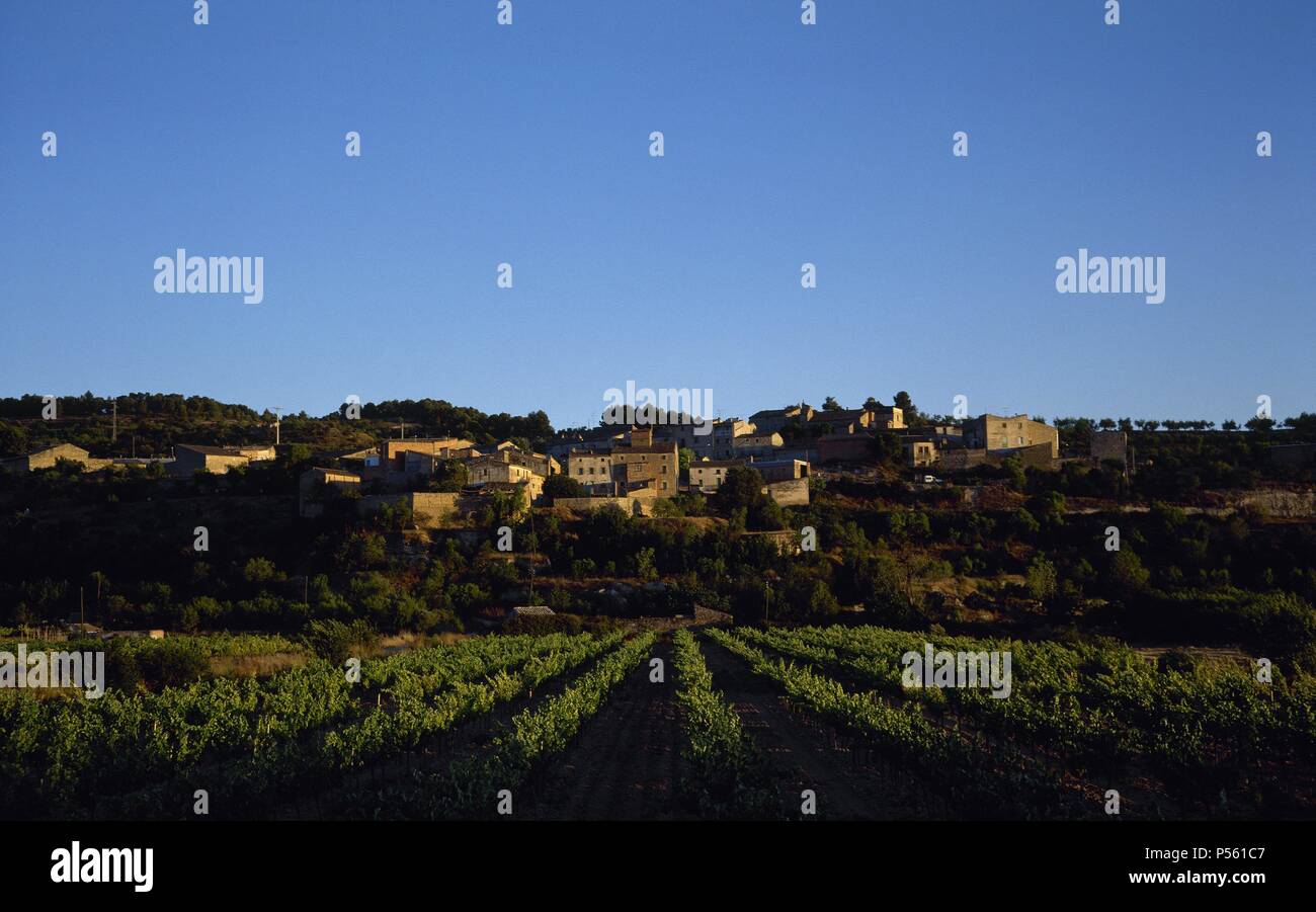 CATALUÑA. LLORENÇ DE ROCAFORT. Panorámica de La población, Al atardecer. Comarca de l'Urgell. Provincia de Lleida. Stockfoto