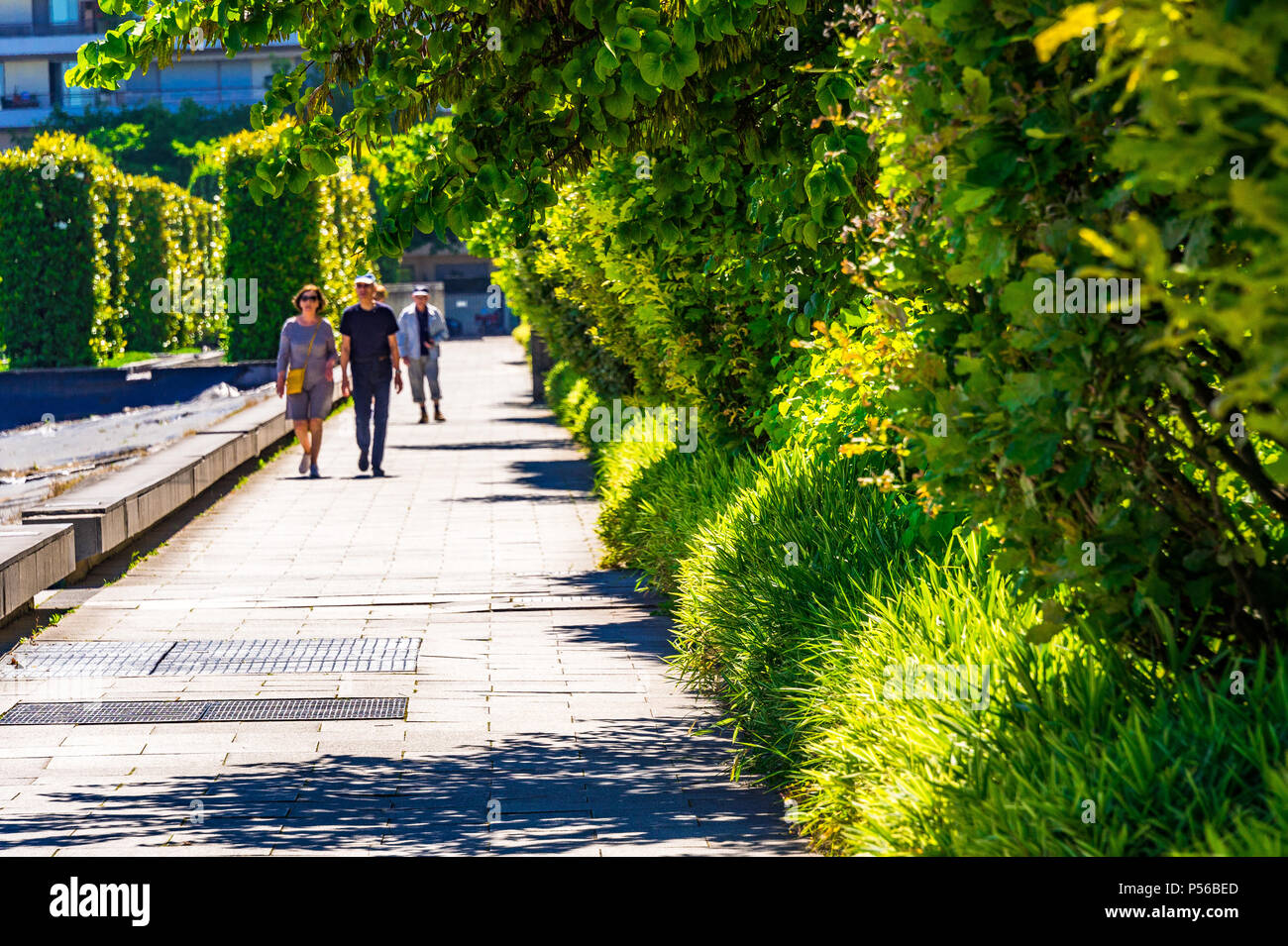 Der Parc Andre Citron ist ein großer Park in Paris, Frankreich Stockfoto