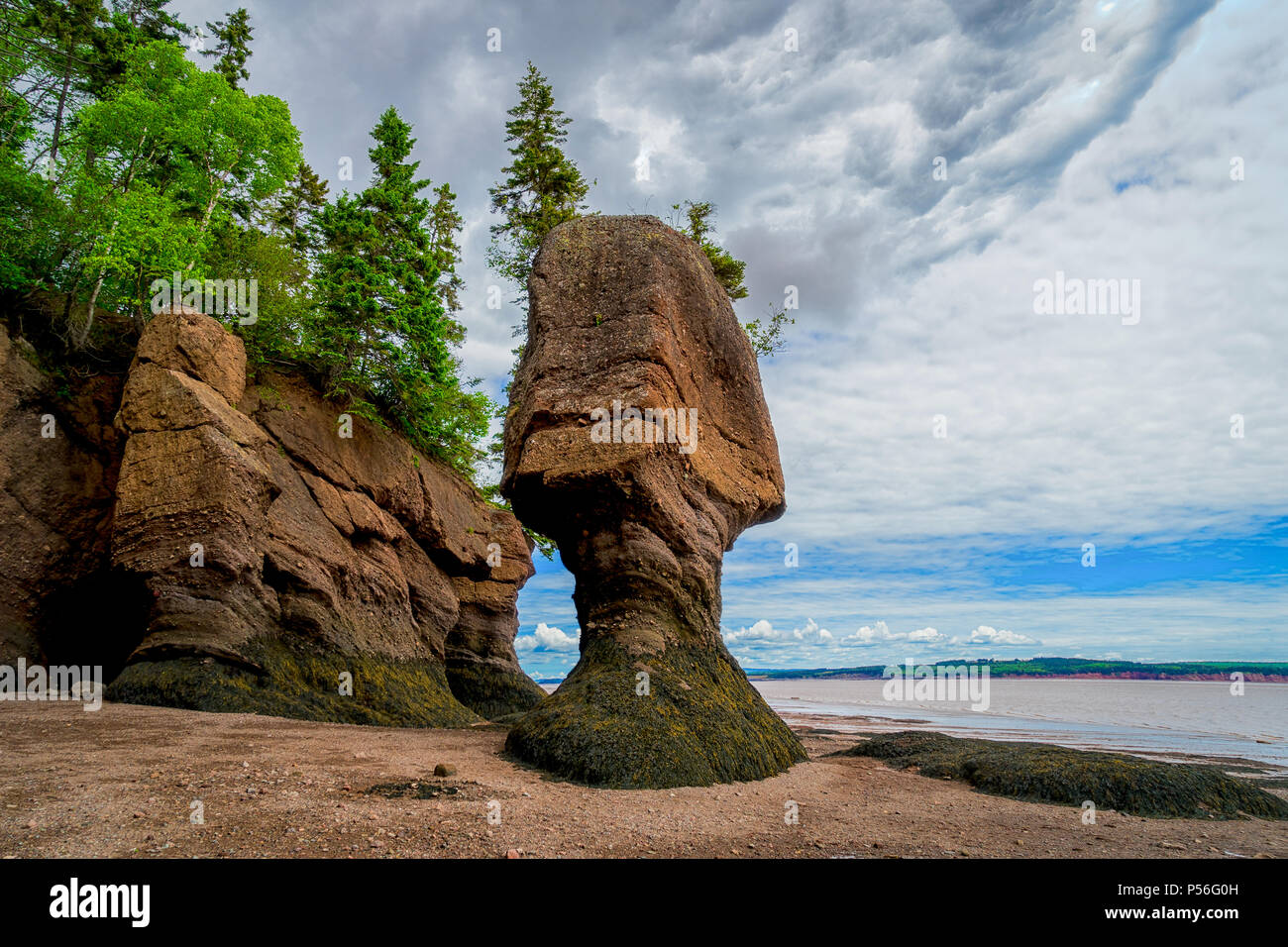 Die Hopewell Rocks auch als flowerpot Rocks, entlang der Bucht von Fundy, New Brunswick, Kanada. Stockfoto