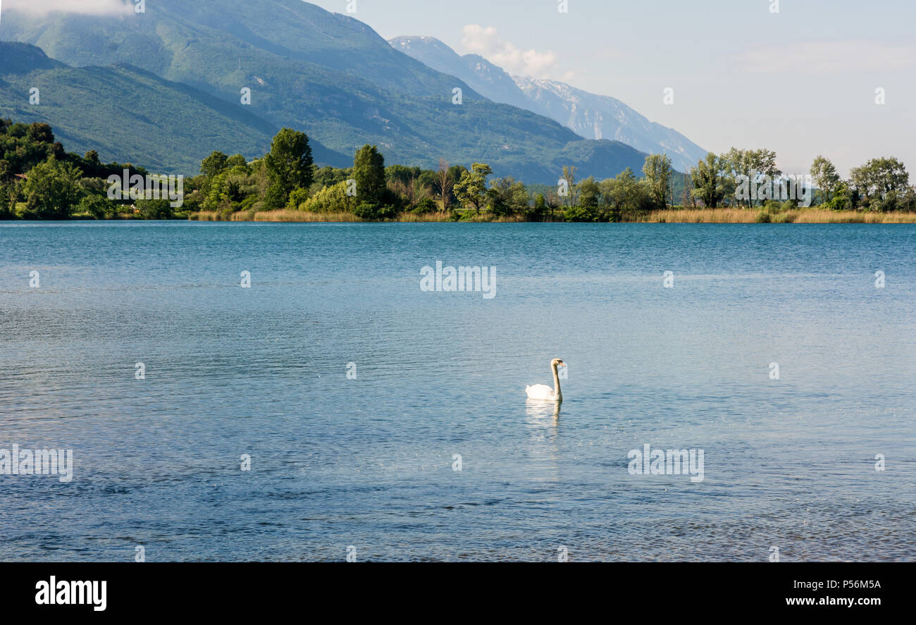 Toblino See an einem schönen Sommermorgen. Die toblino See ist einen kleinen alpinen See an der Unterseite des Sarca Tal, Trentino Alto Adige, Trento, noch Stockfoto