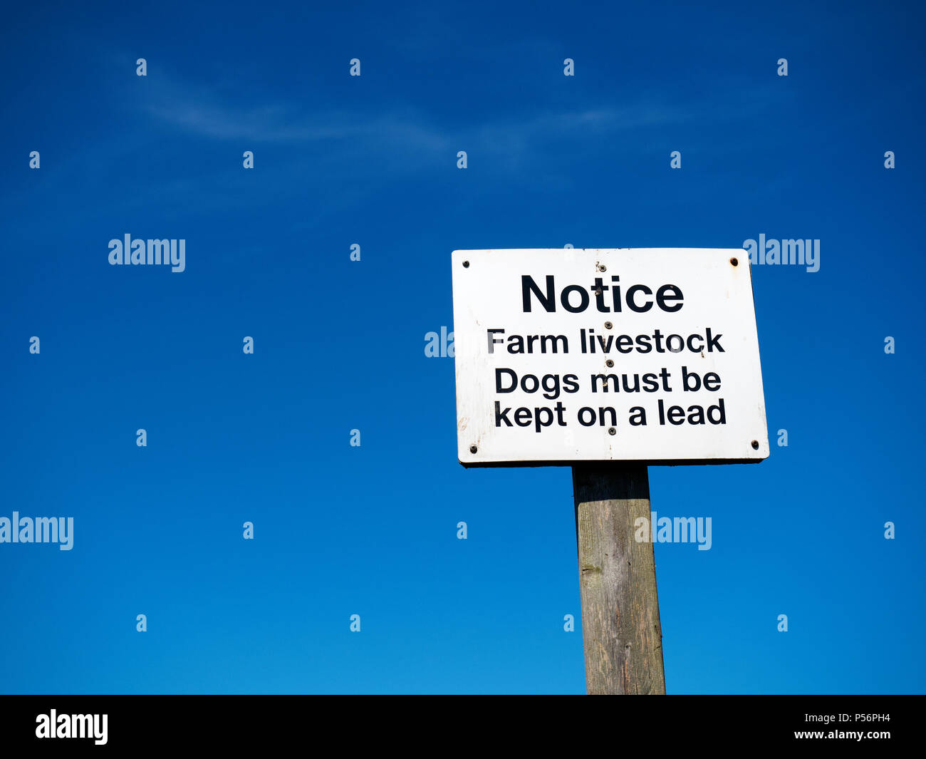 Bauernhof Tiere Hinweis Hunde müssen an der Leine vor blauem Himmel Knaresborough North Yorkshire England gehalten werden Stockfoto