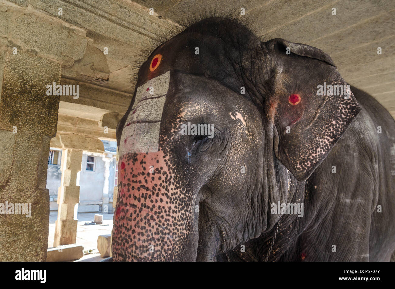 Angesichts einer bemalten Elefanten Stockfoto