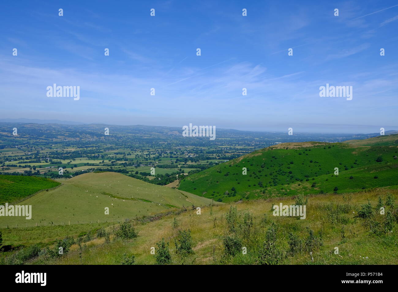 Walisischen Hügel in sonniger Tag in Clwydian Hügel Bereich Stockfoto