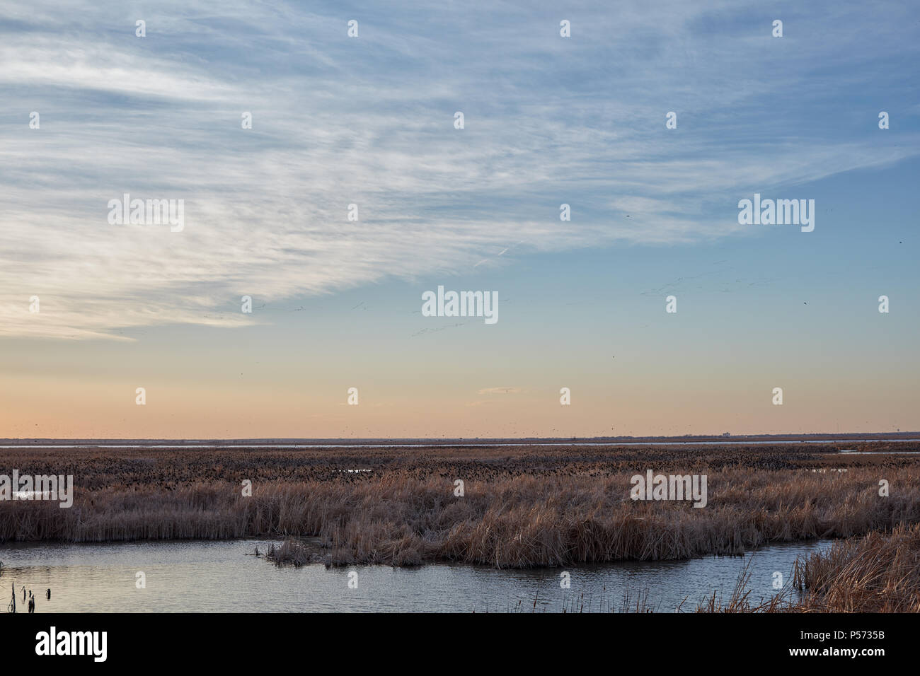 Ruhige Sonnenuntergang über die Feuchtgebiete am Cheyenne Bottoms, Kansas conservancy mit auf orange Glühen am Horizont in der Dämmerung Stockfoto