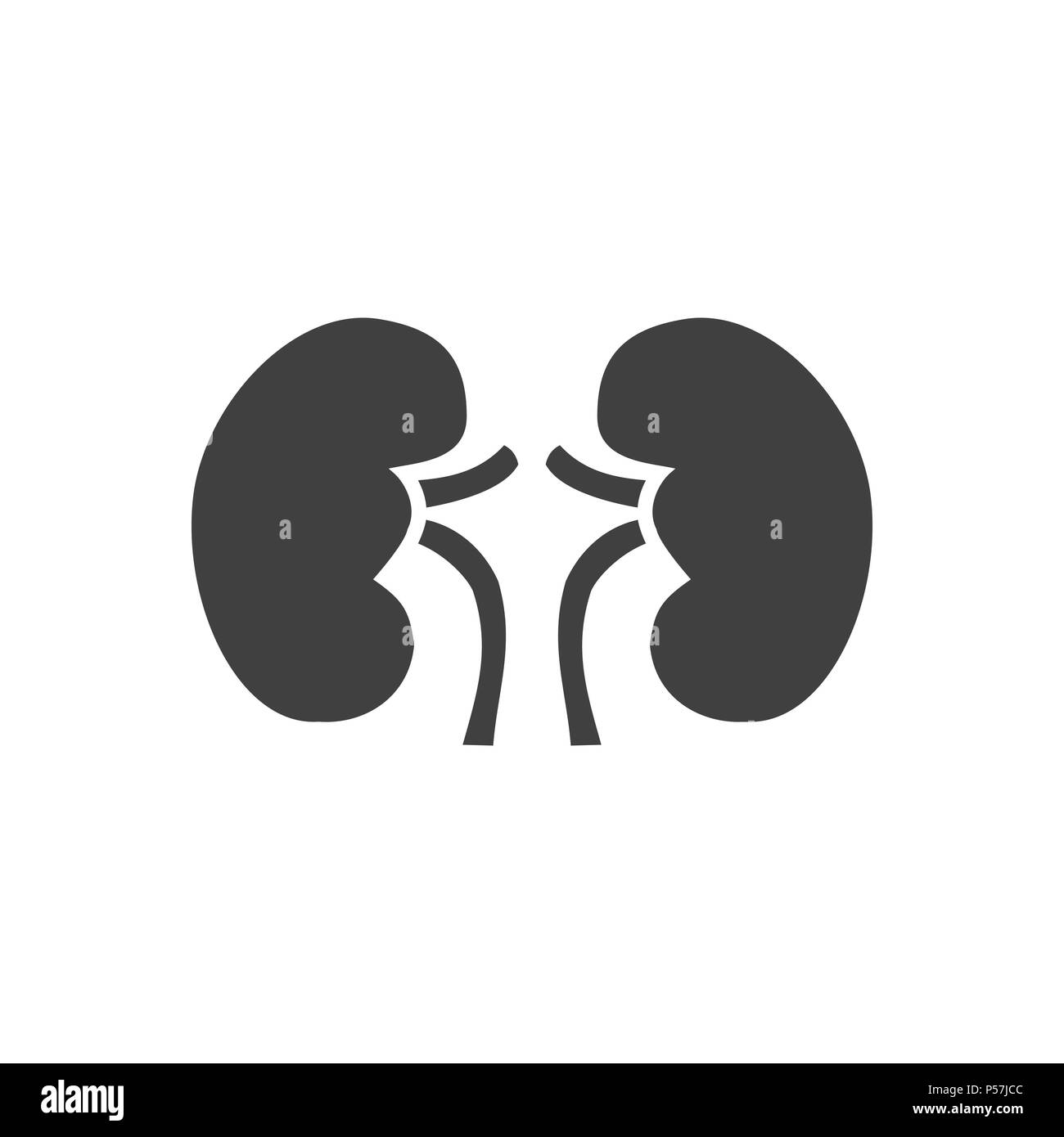Niere Glyphe Vektor Icon. Auf den weißen Hintergrund isoliert. Editierbare EPS-Datei. Vector Illustration. Stock Vektor