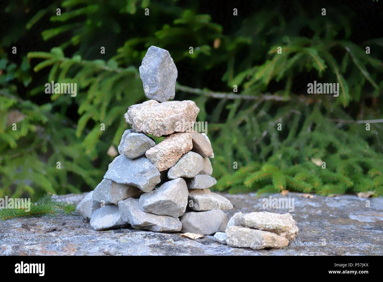 Steine auf einem Wanderweg im Nationalpark Harz in Deutschland Stockfoto