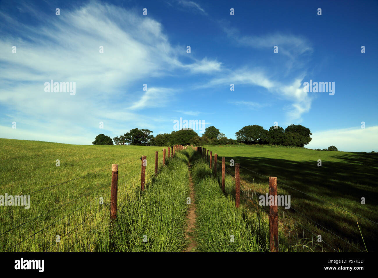 Eingezäunt Wanderweg durch das Feld in Richtung Brabourne Lees und Smeeth in der Nähe von Ashford, Kent, Großbritannien Stockfoto