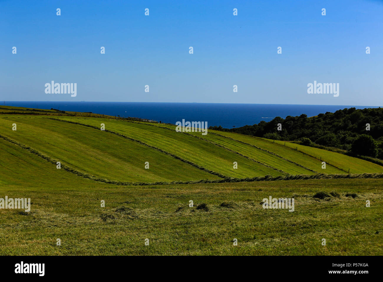 Weite grüne Felder tief blauen Himmel und das Meer. Sommer in Großbritannien Stockfoto