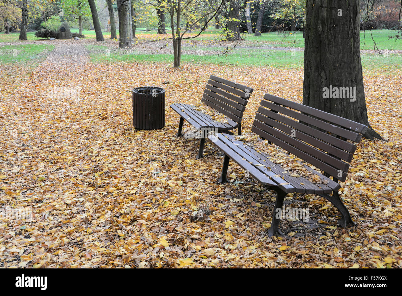 Bänke in einem Park in Magdeburg. Stockfoto