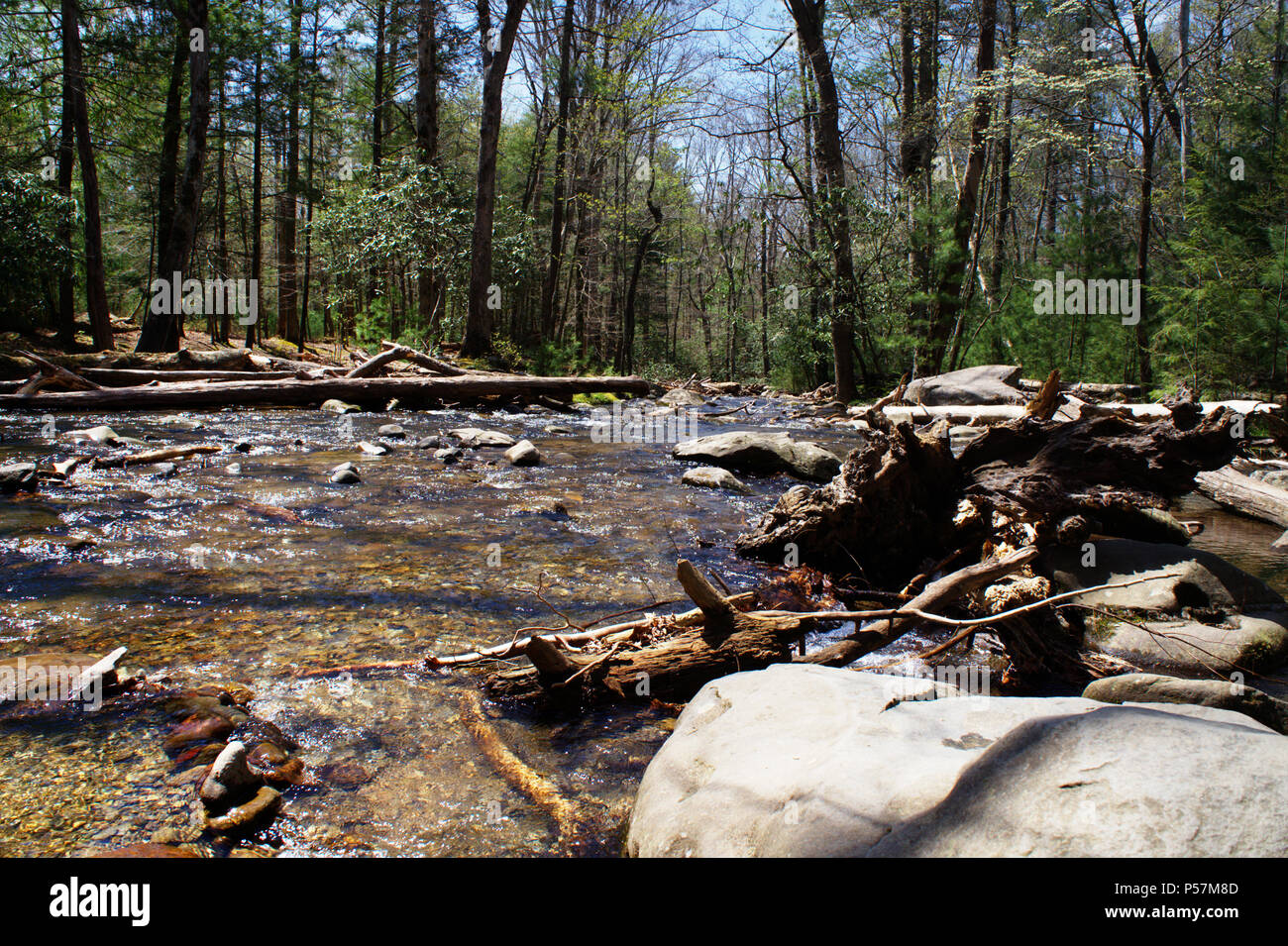 Natur - USA-TN-GA-Smoky Mountains & Rock City (Lookout Mountain) Stockfoto