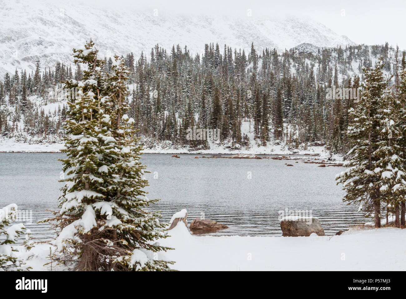 Früh Schnee Sturm Oktober in Medicine Bow National Forest entlang Scenic Highway 130 im südöstlichen Wyoming. 29 km Snowy Range Road, Highway 130. Stockfoto