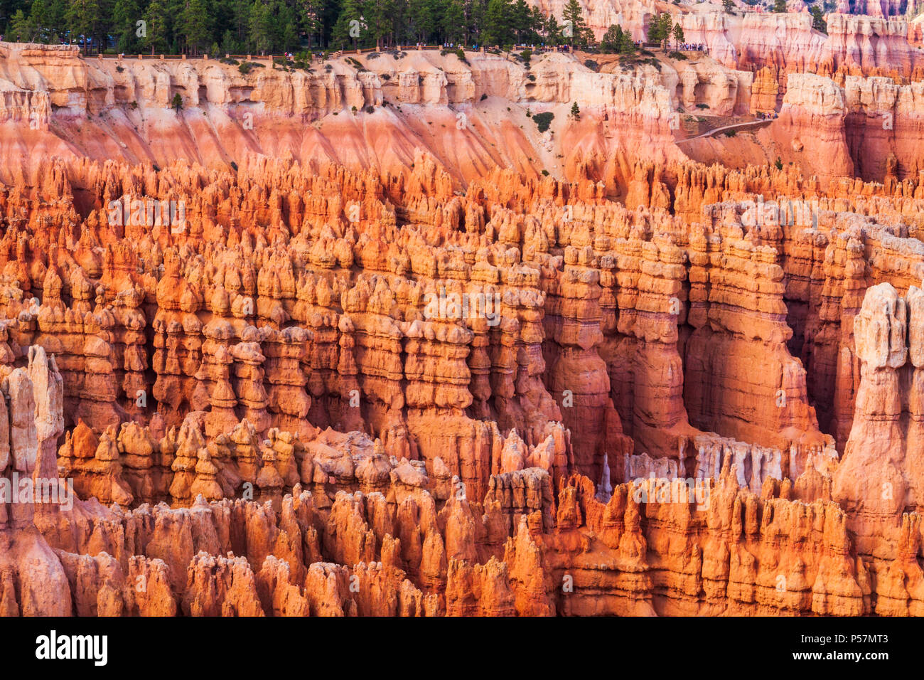 Abendlicht kurz vor Sonnenuntergang auf Hoodoos und Felsformationen an Inspiration Point im Bryce Canyon National Park in Utah... Stockfoto