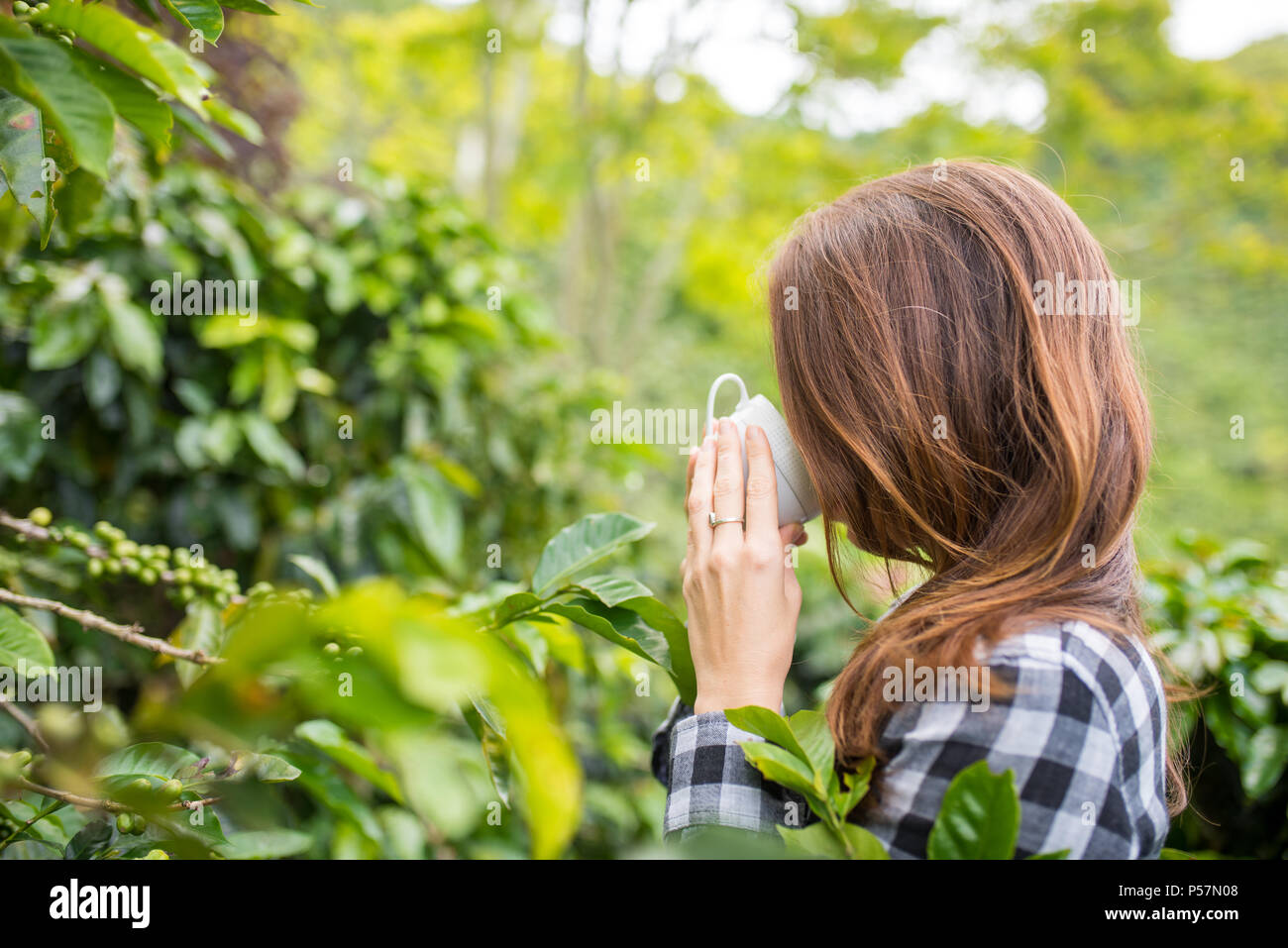 Frau auf Coffee Farm Kaffee trinken Stockfoto