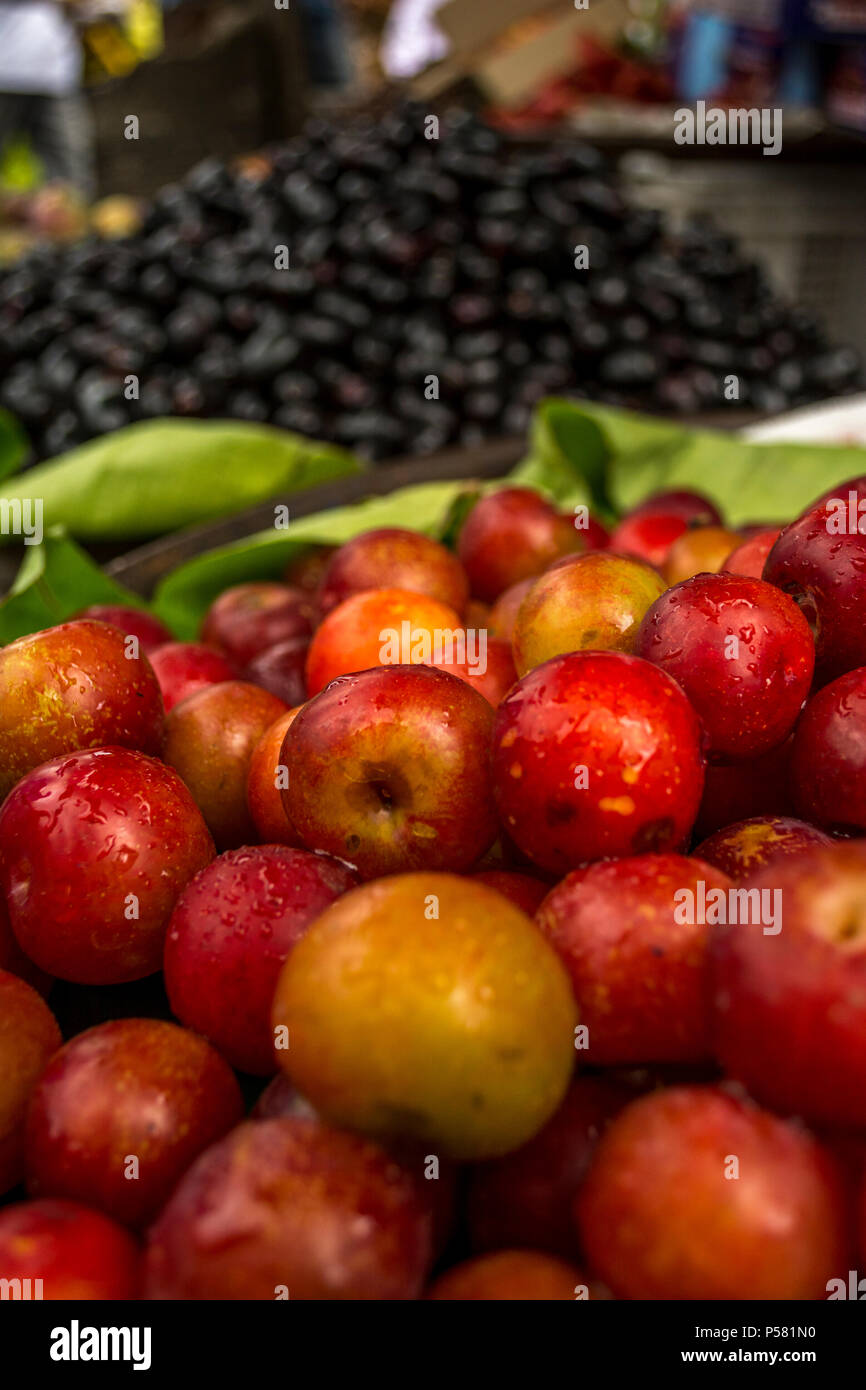 Java Pflaumen und Apple für Verkauf in Indien Stockfoto