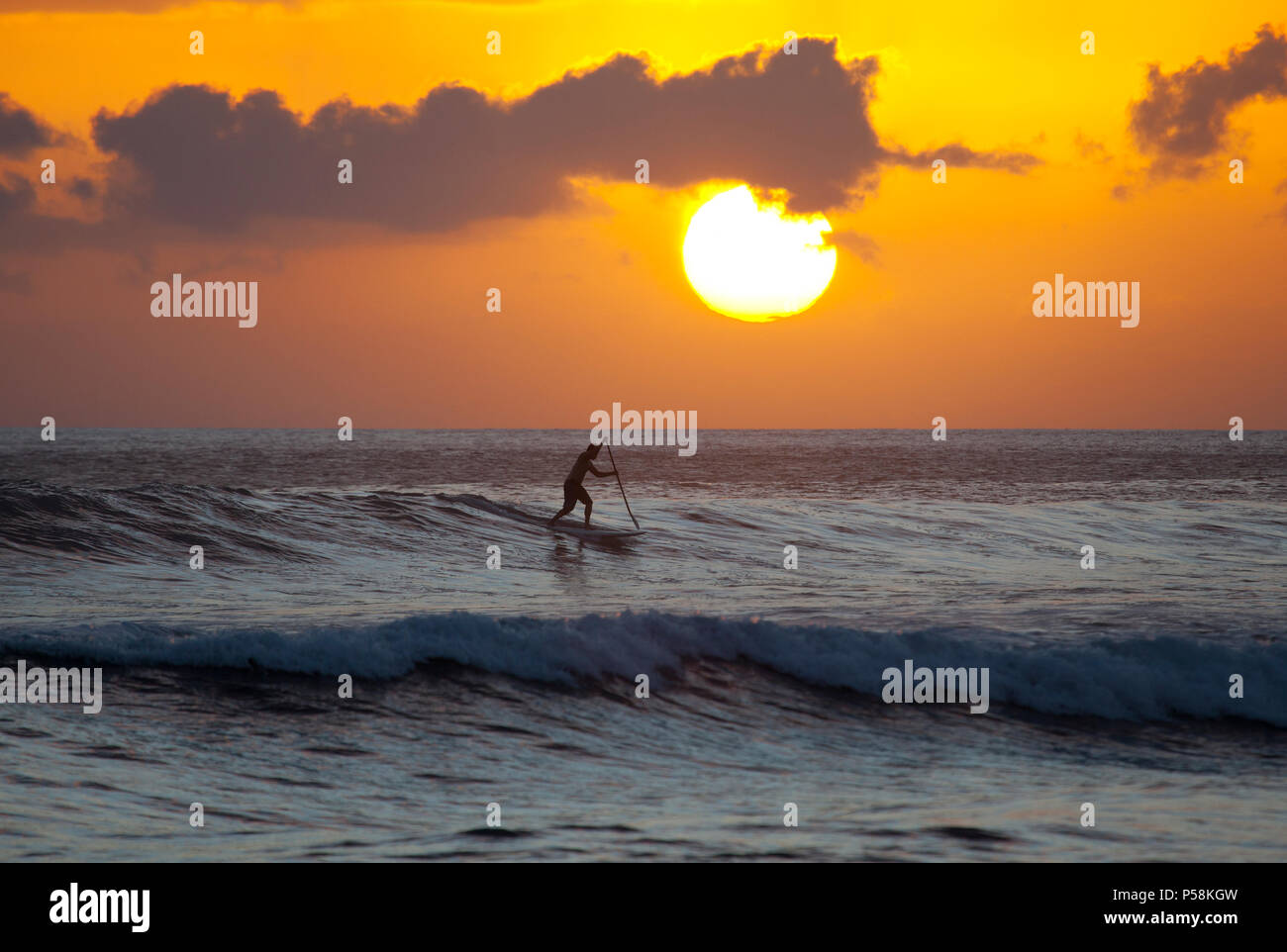Stand up Paddler Paddel für eine Welle bei Sonnenuntergang an Launiupoko, Maui, Hawaii. Stockfoto