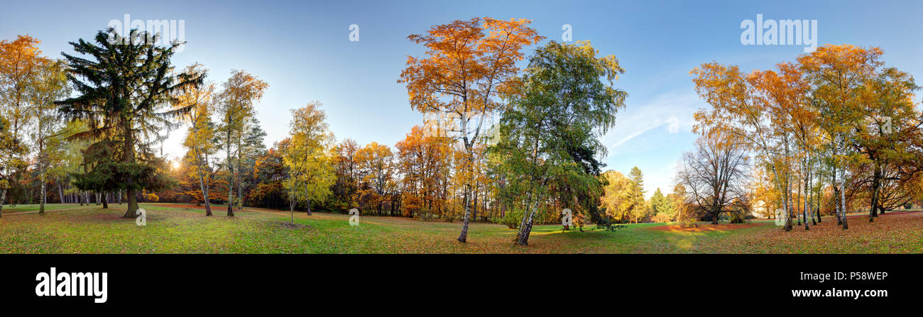 Wald im Herbst Panorama Park Stockfoto
