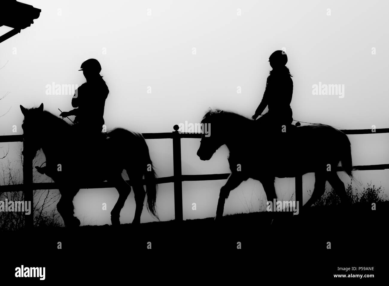 Camargue Pferde reiten Stockfoto