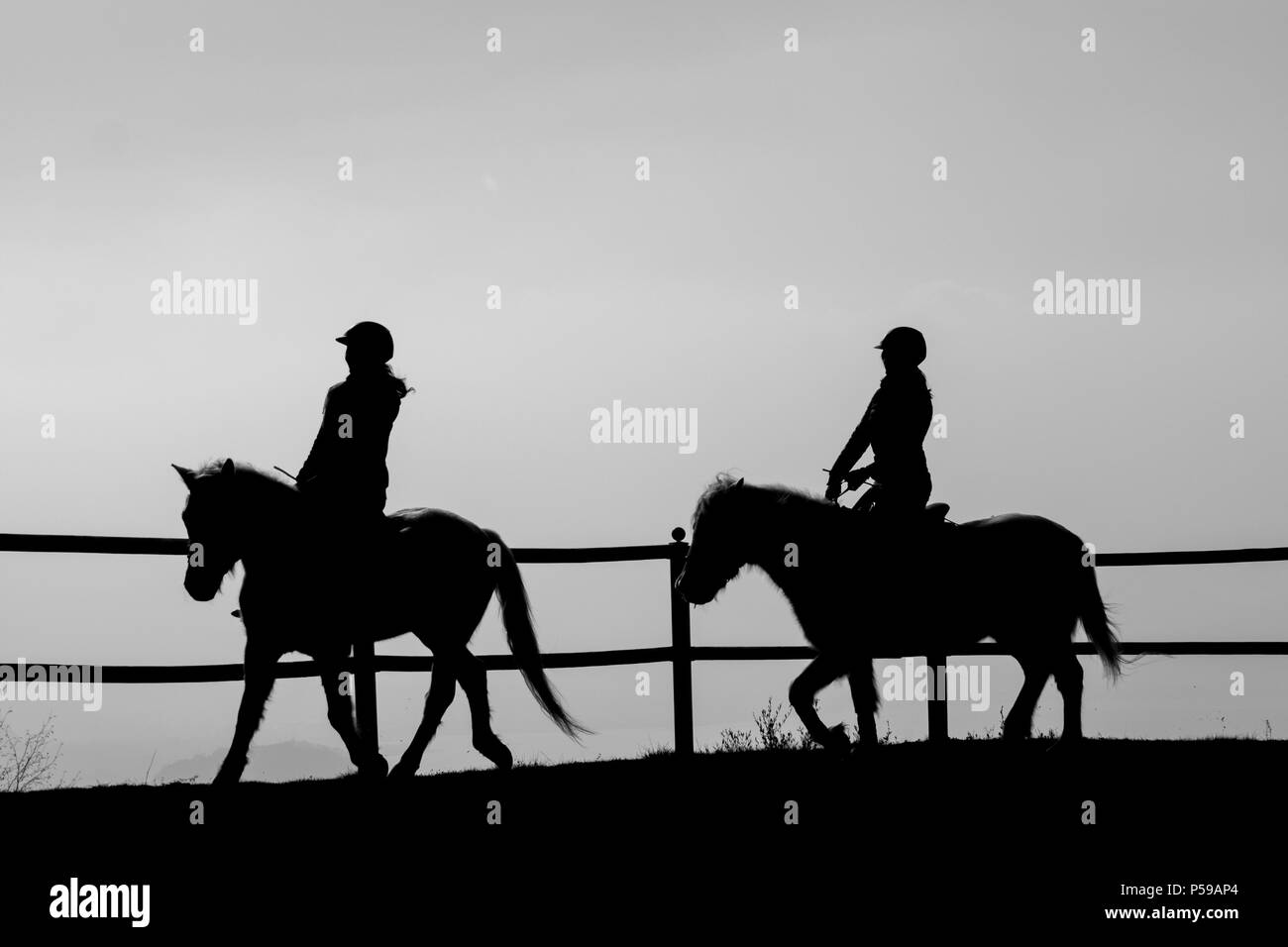 Camargue Pferde reiten Stockfoto