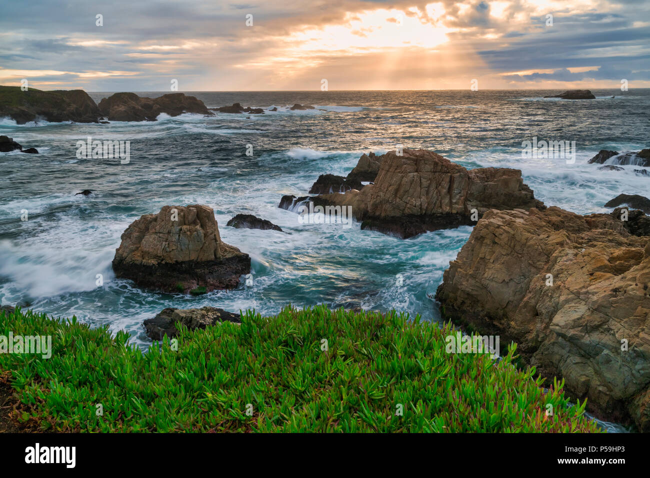 Garrapata State Park Stockfoto