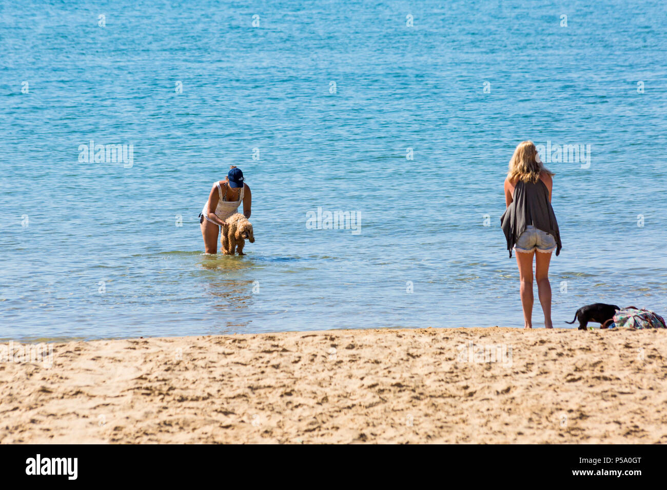 Bournemouth, Dorset, Großbritannien. 26. Juni 2018. UK Wetter: sunseekers Kopf bis zu den Stränden von Bournemouth auf einem anderen schönen sonnigen Tag mit Ungebrochenen blauer Himmel und Sonnenschein, Temperaturen am Meer steigen. Doggie Paddel! Credit: Carolyn Jenkins/Alamy leben Nachrichten Stockfoto