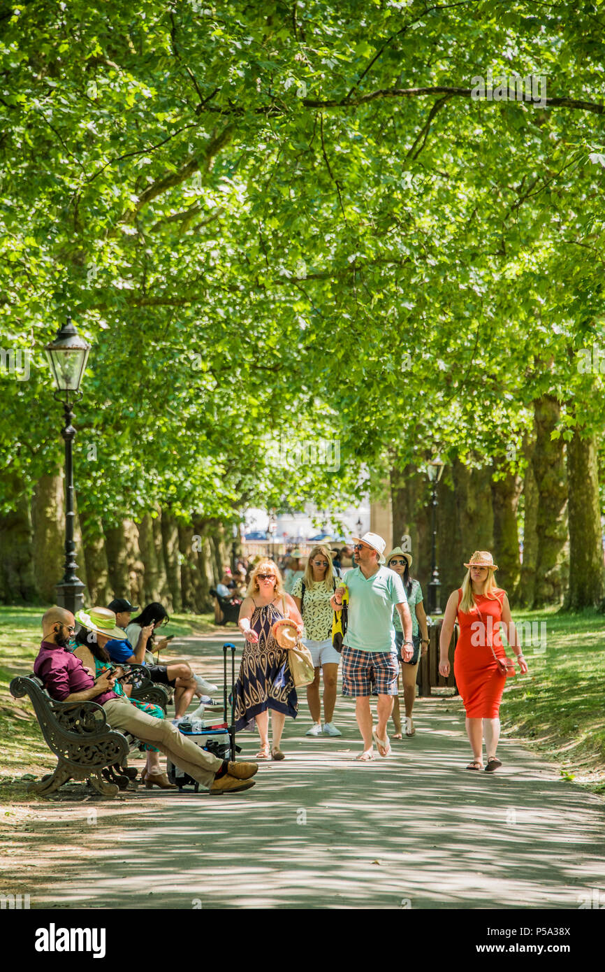 Green Park, London. 26 Jun, 2018. UK Wetter: Touristen und Arbeiter von den nahe gelegenen Büros profitieren Sie von teh relativ kühl auf der Sonne - dappled von Bäumen gesäumten Alleen - Menschen ihre Mittagspause in der warmen und sonnigen Bedingungen im Green Park genießen. Credit: Guy Bell/Alamy leben Nachrichten Stockfoto