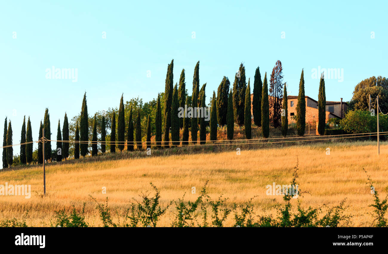 Toskana, Italien - 23. JUNI 2017: Schöne Landschaft von Sommer auf dem Land in Italien mit Haus, Hügeln, Weizenfeld. Stockfoto