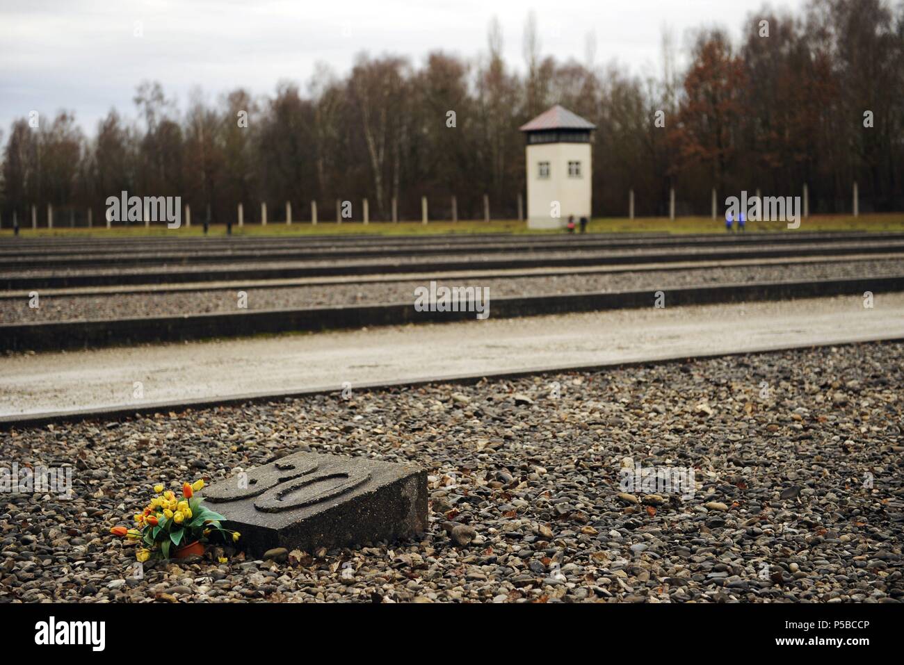 Kz Dachau. Ns-Lager von Gefangenen in 1933 geöffnet. Dort, wo die Baracken waren. Beton-fundament Markieren der Position von Baracke 30. Deutschland. Stockfoto
