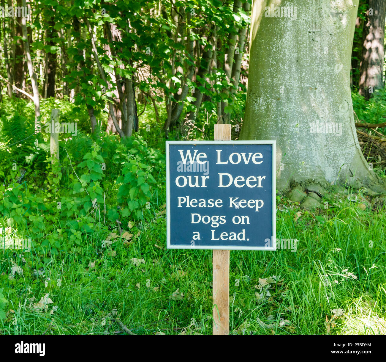 Bekanntmachung anmelden Immobilien Warnung Hunde an der Leine für Rotwild zu bewahren, East Lothian, Schottland, Großbritannien Stockfoto