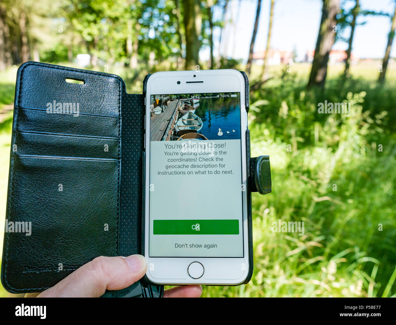 Nahaufnahme der Frauenhand, die ein Mobiltelefon mit der Geocaching-App hält, die einen Geocache in der Nähe mit verschwommenem Wald zeigt Schottland, Großbritannien Stockfoto