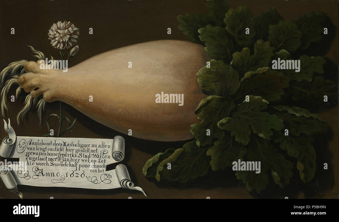 Een reuzenradijs. Nederlands: Een reuzenradijs, met een Weight van Meer dan Zeven en halben Teich een. Links een inscriptie op een blad Papier en een anjer. . 1626. N/A 496 Een reuzenradijs Rijksmuseum SK-A-1975 Stockfoto