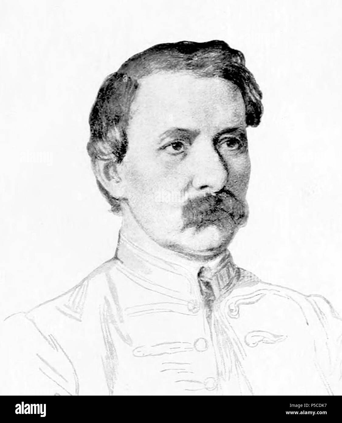 169 Barabás Miklós Arany Stockfoto