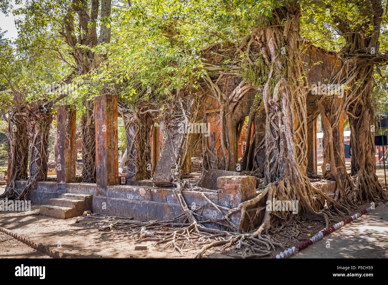 Alten kolonialen Architektur Gebäude Ruinen an der Ross Insel, Andaman, Indien. Stockfoto