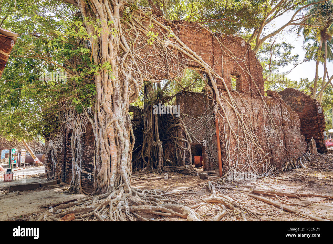 Alten kolonialen Architektur Gebäude Ruinen an der Ross Insel, Andaman, Indien. Stockfoto