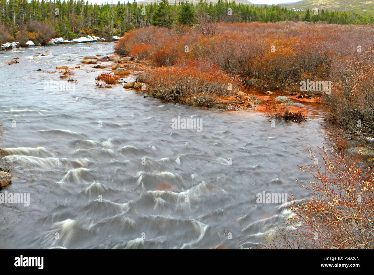 Pinware River. Entlang Labrador Küstenstrecke510N, Trans Labrador Highway, Neufundland, Labrador, Kanada Stockfoto