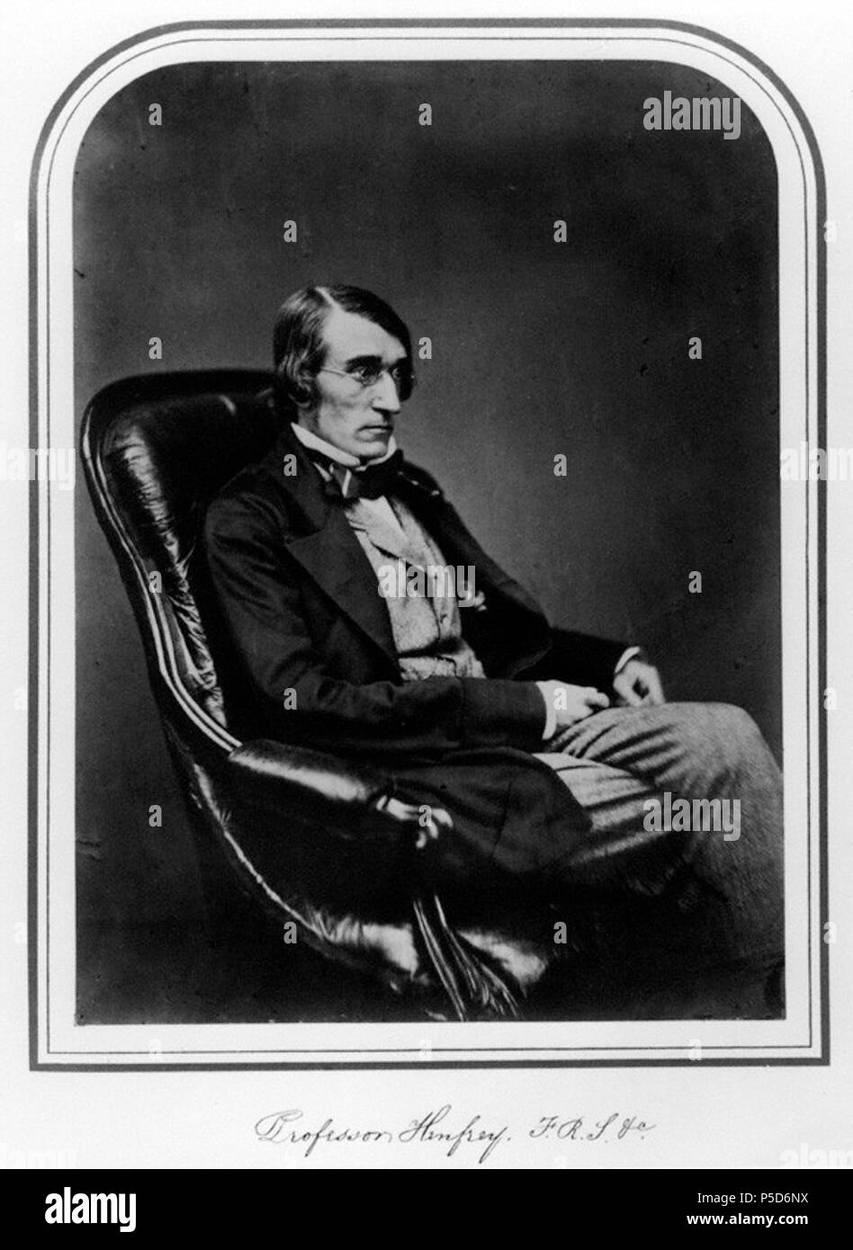 Von Maull & Polyblank, Eiklar drucken, gewölbter Deckel, 1855 141 Arthur Henfrey Maull Polyblank Stockfoto