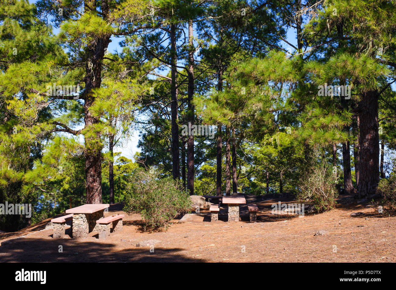 Picknickplatz inTamadaba forest park, Gran Canaria, Spanien Stockfoto