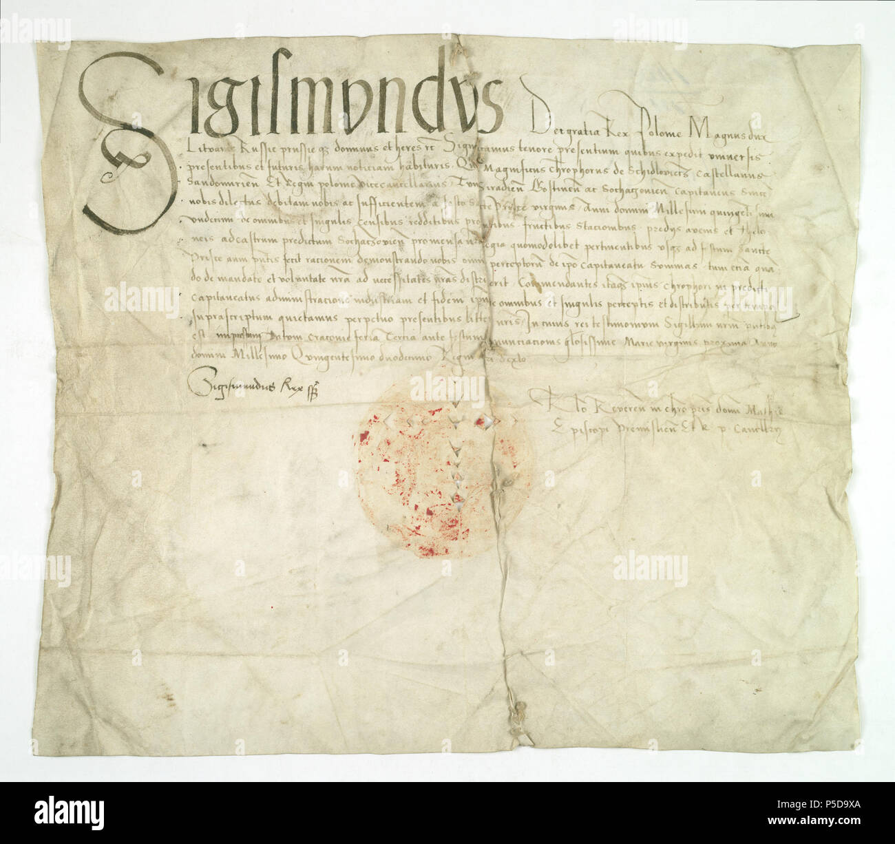 Polski: Zygmunt Stary, król Polski, Krzysztofa kwituje Szydowieckiego, kasztelana sandomierskiego, podkanclerzego koronnego, starost gostyniskiego sieradzkiego, ich sochaczewskiego z zarzdu starostwem sochaczewskim za Okres 1511/1512. . Szydowieccy zwizali si z Bolimowem ju Pod koniec XV w., Jakub Szydowiecki gdy w1498 r. otrzyma tutejsz dzieraw w zastaw. Jego modszy Gör, Krzysztof w1508 r. zosta sochaczewskim Starost, w skad którego Bolimów wchodzi te. Wywodzili si z Monego redniowiecznego rodu h. Odrow. Wyda auf w XII-XV w. wiele znacznych Postaci. Wspomnijmy tu tylko biskupa krakowskiego Stockfoto Polski: Zygmunt Stary, król Polski, Krzysztofa kwituje Szydowieckiego, kasztelana sandomierskiego, podkanclerzego koronnego, starost gostyniskiego sieradzkiego, ich sochaczewskiego z zarzdu starostwem sochaczewskim za Okres 1511/1512. . Szydowieccy zwizali si z Bolimowem ju Pod koniec XV w., Jakub Szydowiecki gdy w1498 r. otrzyma tutejsz dzieraw w zastaw. Jego modszy Gör, Krzysztof w1508 r. zosta sochaczewskim Starost, w skad którego Bolimów wchodzi te. Wywodzili si z Monego redniowiecznego rodu h. Odrow. Wyda auf w XII-XV w. wiele znacznych Postaci. Wspomnijmy tu tylko biskupa krakowskiego Stockfoto